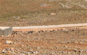 Şanlıurfa’da Koruma altındaki ceylanlar havadan görüntülendi