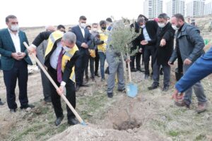 Şanlıurfa’daki yeni yerleşim alanlarında ağaç dikim seferberliği