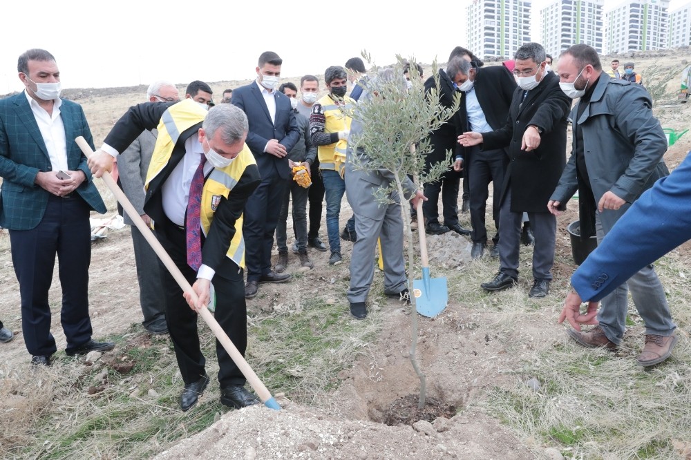 Şanlıurfa’daki yeni yerleşim alanlarında ağaç dikim seferberliği