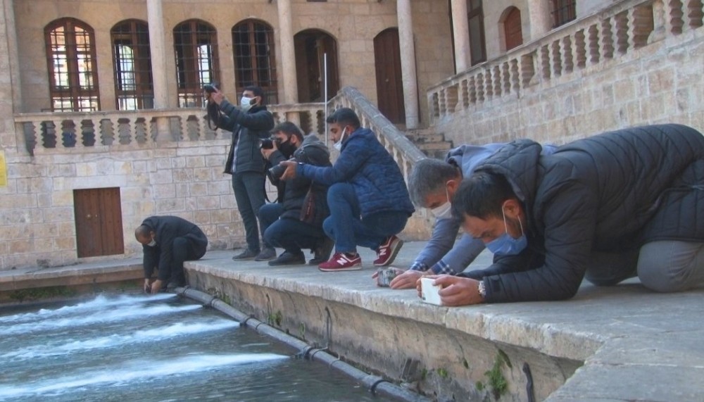 Şanlıurfa’nın boş kalan tarihi mekanları fotoğrafçılara kaldı