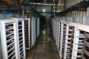 Türkiye’nin balık üretim merkezi: Fırat Nehri