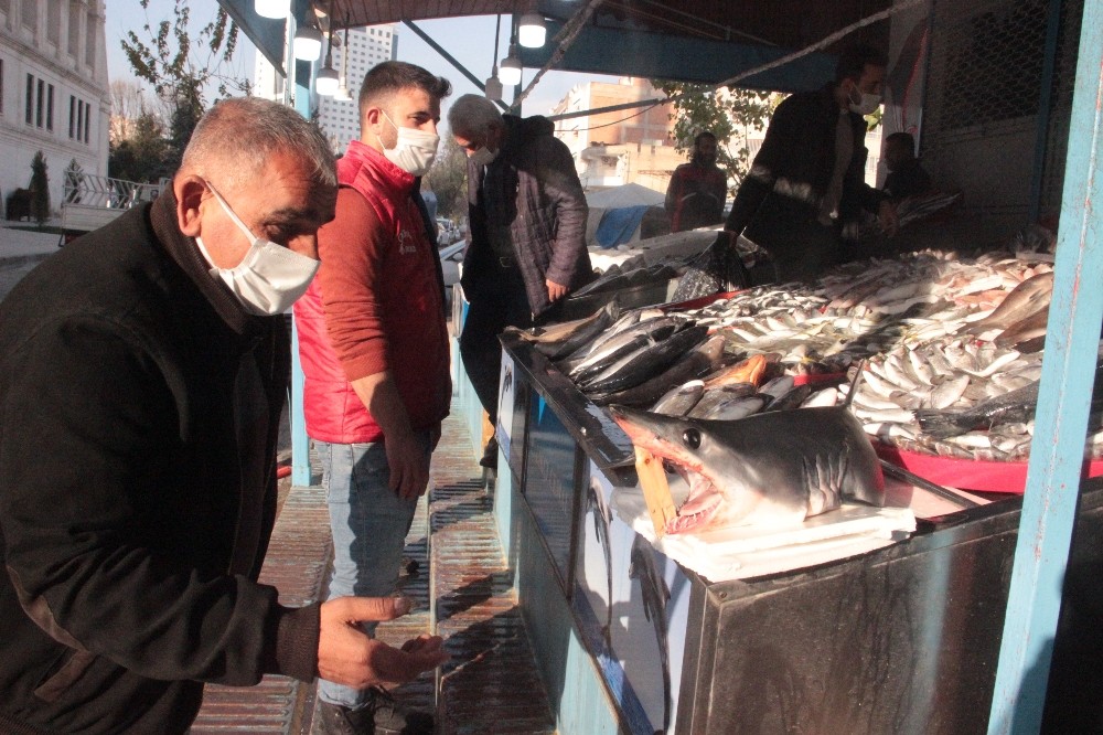 Urfalıların köpekbalığı şaşkınlığı