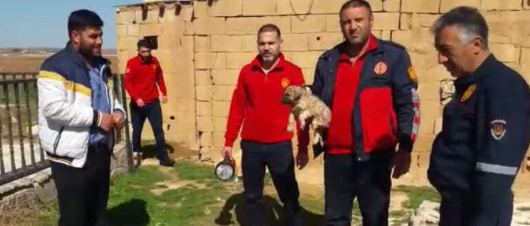 Şanlıurfa Suruç’ta yavru köpek 30 metrelik kuyuya düştü