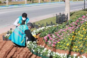 Eyyübiye’de peyzaj çalışması devam ediyor