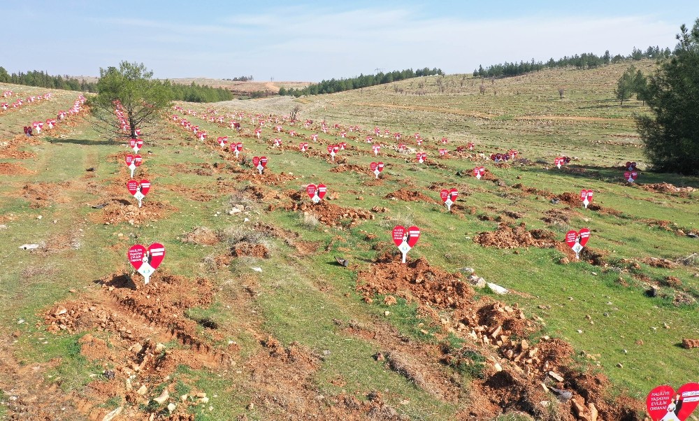 Şanlıurfa’da Evlenen çiftlere ömürlük hediye