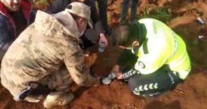 Şanlıurfa’da Feci kazada minibüsün altında kalan güvercinleri güvenlik güçleri kurtardı