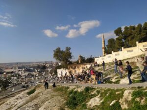 Şanlıurfa’da “güvercin döküşü”