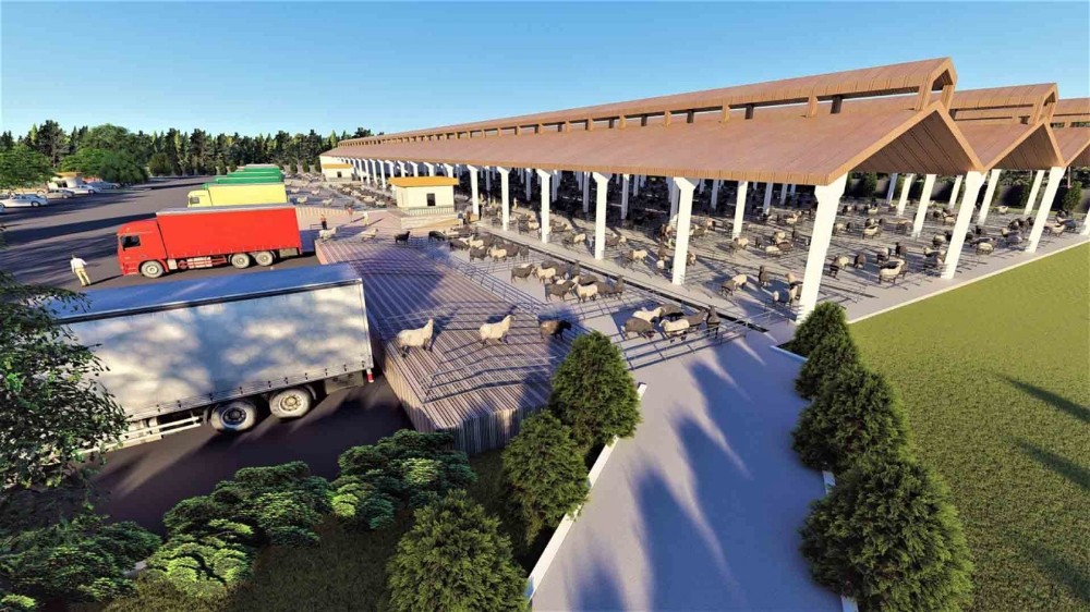 Şanlıurfa’da hayvan borsası çalışması devam ediyor