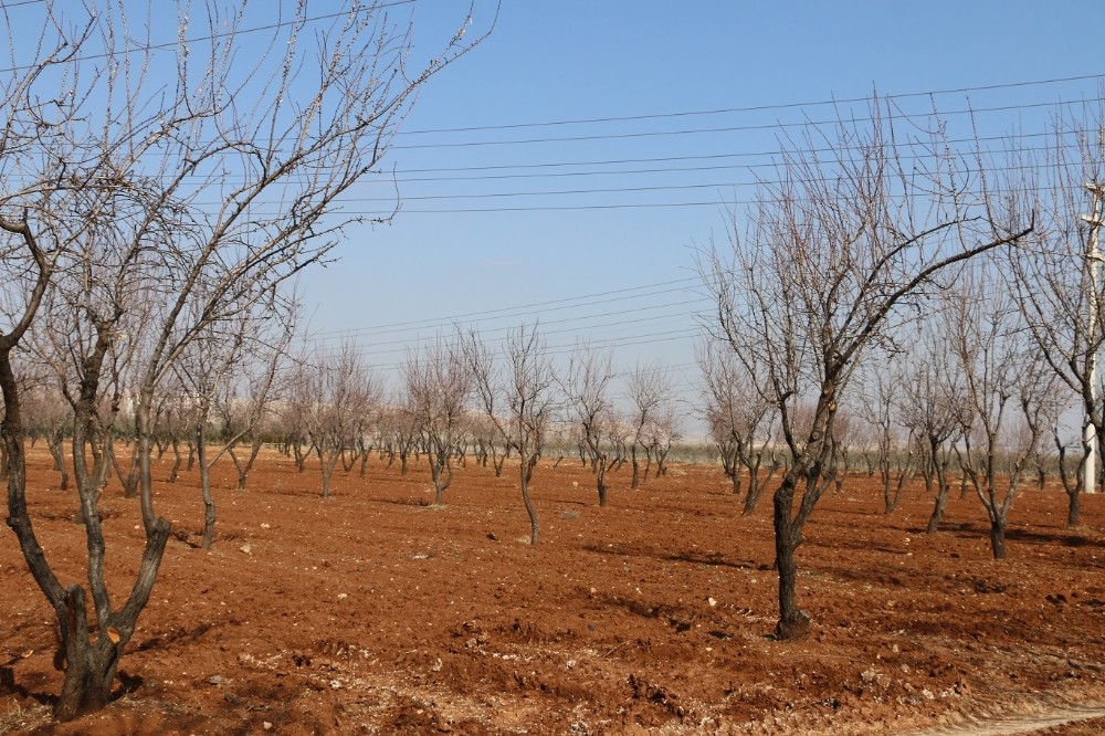 Şanlıurfa’da Hobi Bahçesi Proje çalışmaları devam ediyor