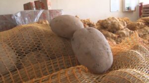 Şanlıurfa’da Kısıtlamada ihtiyaç sahipleri unutulmadı