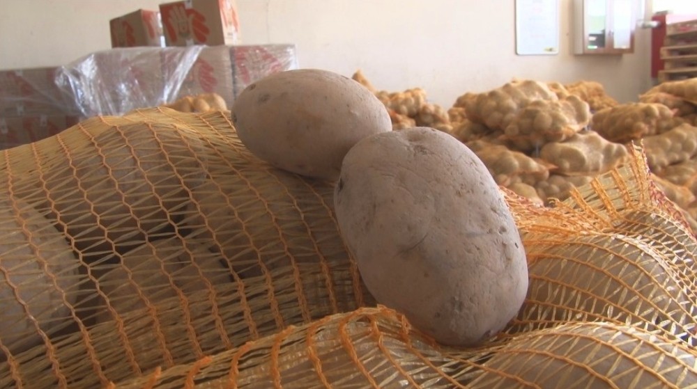 Şanlıurfa’da Kısıtlamada ihtiyaç sahipleri unutulmadı