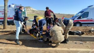 Şanlıurfa’da otomobil ağaca çarptı: 2 yaralı