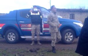 Siverek’te hırsızlar ahırdaki 52 kuzuyu çaldı