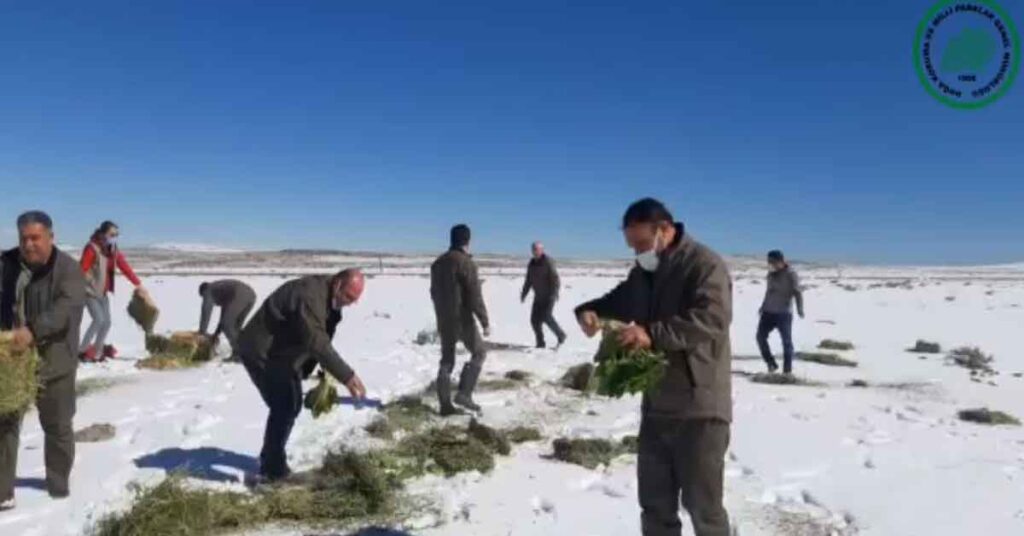 Şanlıurfa DKMP, Doğadaki Canlıları Unutmadı