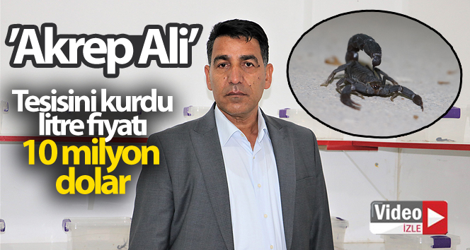 Şanlıurfalı “Akrep Ali” 10 yaşından beri kara akreplerle yaşıyor