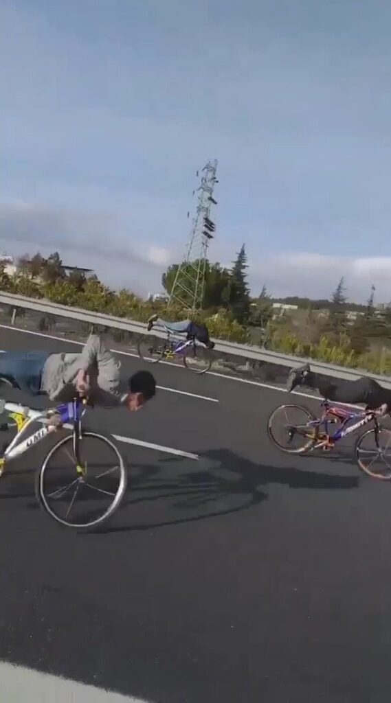 Otoyolda ölüme meydan okudular