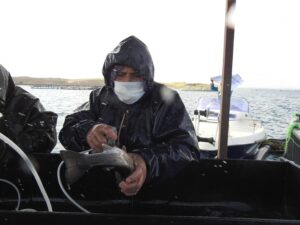 Şanlıurfa’da üretilen yerli aşılarla Milyonlarca balık tek tek aşılanıyor