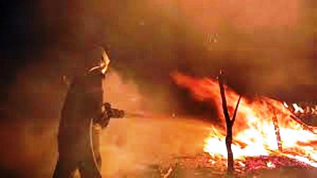 Şanlıurfa’da Çocukların ateşle oynu mahalleyi küle ceviriyordu