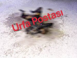 Şanlıurfa’da yanmış halde bir kadın cesedi bulundu