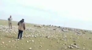 CHP’li Tanal, Ceylanpınar TİGEM çevresinde hayvanlarını otlatamayan çobanların sesi oldu