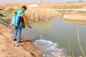 Akçakale’de haşere ile mücadelede hummalı çalışma