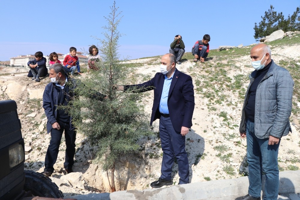 Bozova’da yeşillendirme seferberliği sürüyor