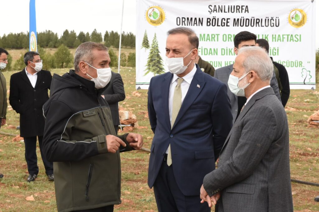 Osmanbey’de Bir Orman Oluşturuluyor