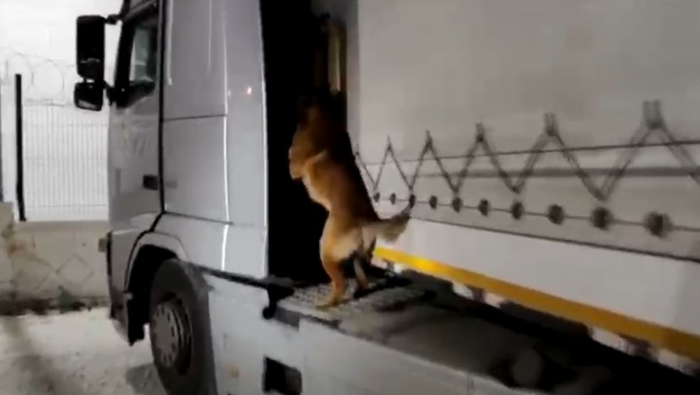 Şanlıurfa’da 2 tırda 52 kilo uyuşturucu madde ele geçirildi