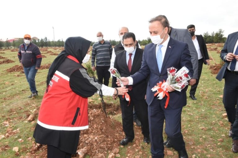 Şanlıurfa’da 8 Mart ağaçlandırma etkinliği