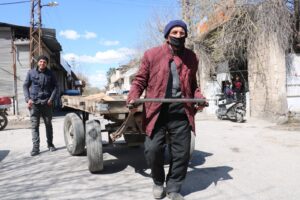 Şanlıurfa’da Asırlık çınarlar 15 yıldır at arabası çekiyor