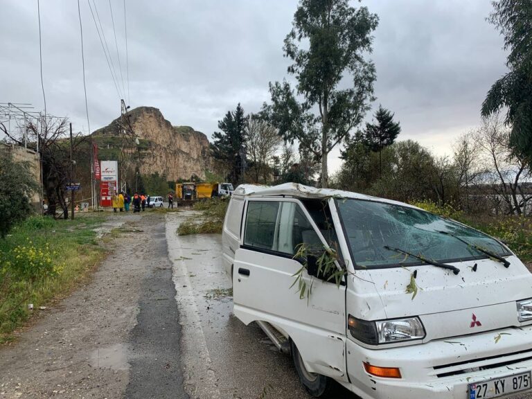 Şanlıurfa’da Fırtınada devrilen ağaçlar araçlara zarar verdi