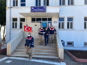 Şanlıurfa’da Kablo hırsızları çıkarıldıkları mahkemece tutuklandı