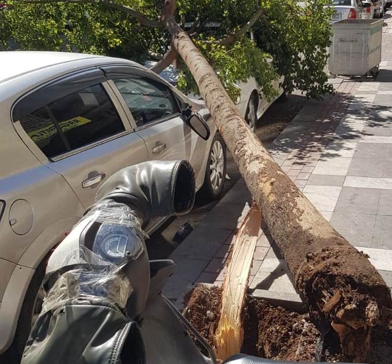 Şanlıurfa’da rüzgar ağaçları devirdi çatıları uçurdu