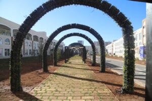 Şanlıurfa’da Yeşil koridor’da peyzaj çalışmaları başladı