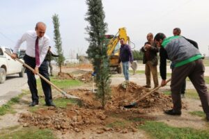 Sınırın sıfır noktasında estetik görünüm