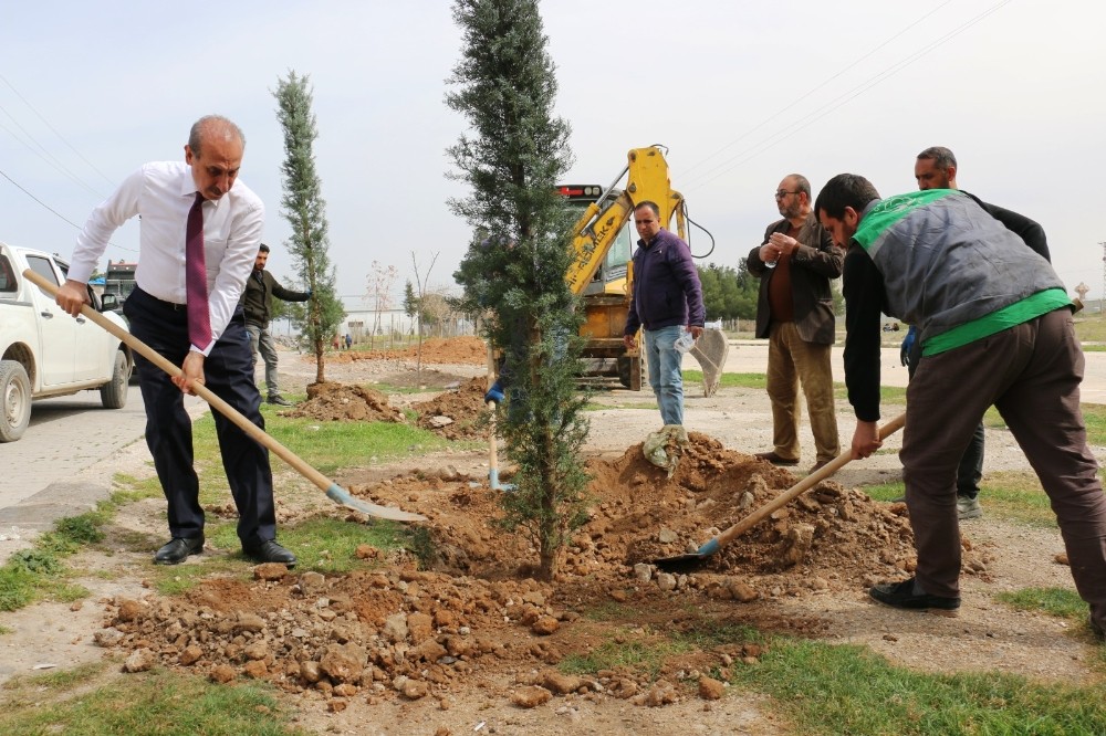 Sınırın sıfır noktasında estetik görünüm