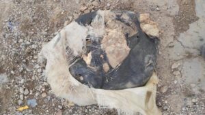 Telabyad’da 60 kilogram patlayıcı ele geçirildi