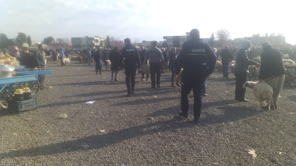 Viranşehir’de zabıta denetimi