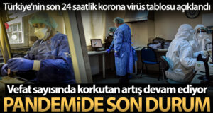 Son 24 saatte korona virüsten 341 kişi hayatını kaybetti