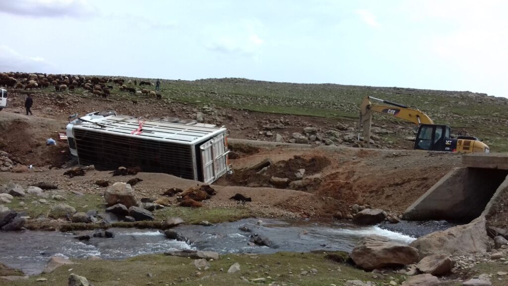 Virajı alamayan kamyonet yan yattı: 50 koyun telef oldu