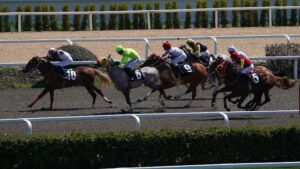 At yarışlarında ilkbahar – yaz sezonu açıldı