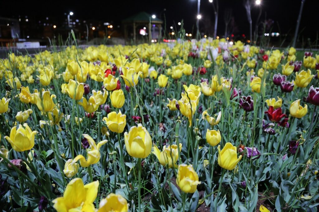 Haliliye’de parklar bahara hazırlanıyor