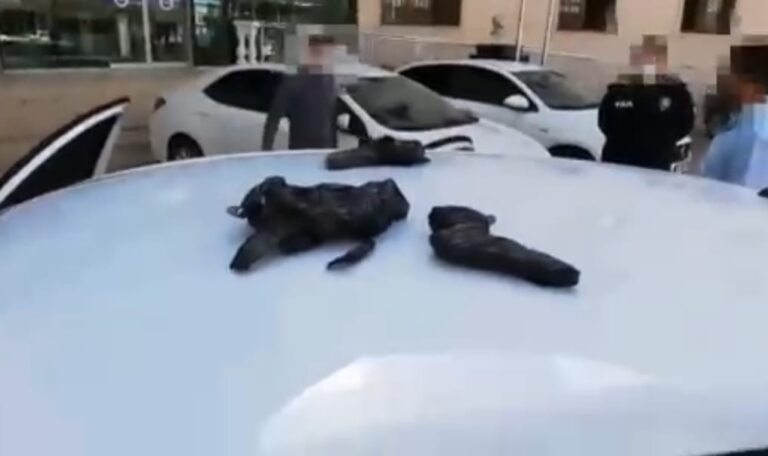 Şanlıurfa’da durdurulan otomobilde 18 tabanca ele geçirildi