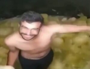 Şanlıurfa’da Turşu tesisindeki skandal görüntü sonrası 1 kişi gözaltına alındı