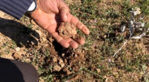 Şanlıurfa’nın vazgeçilmez lezzeti keme Kebabı