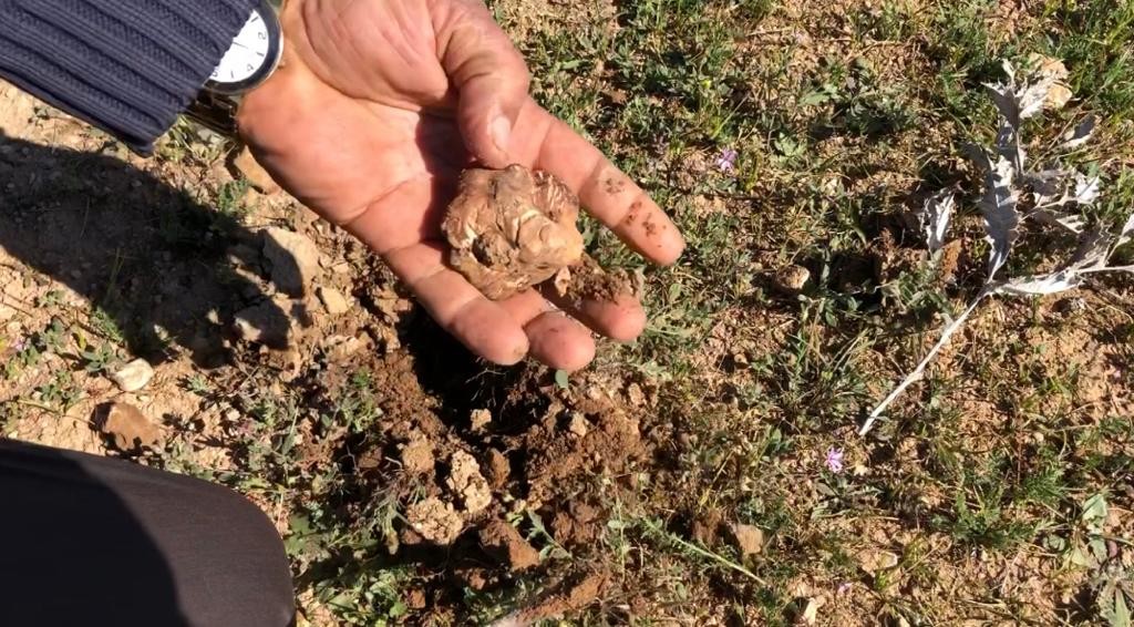 Şanlıurfa’nın vazgeçilmez lezzeti keme Kebabı