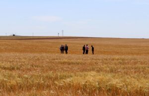 Tarım ve Orman Bakanlığı Güneydoğu’daki kuraklığın boyutunu uzman ekiplerle tespit ediyor