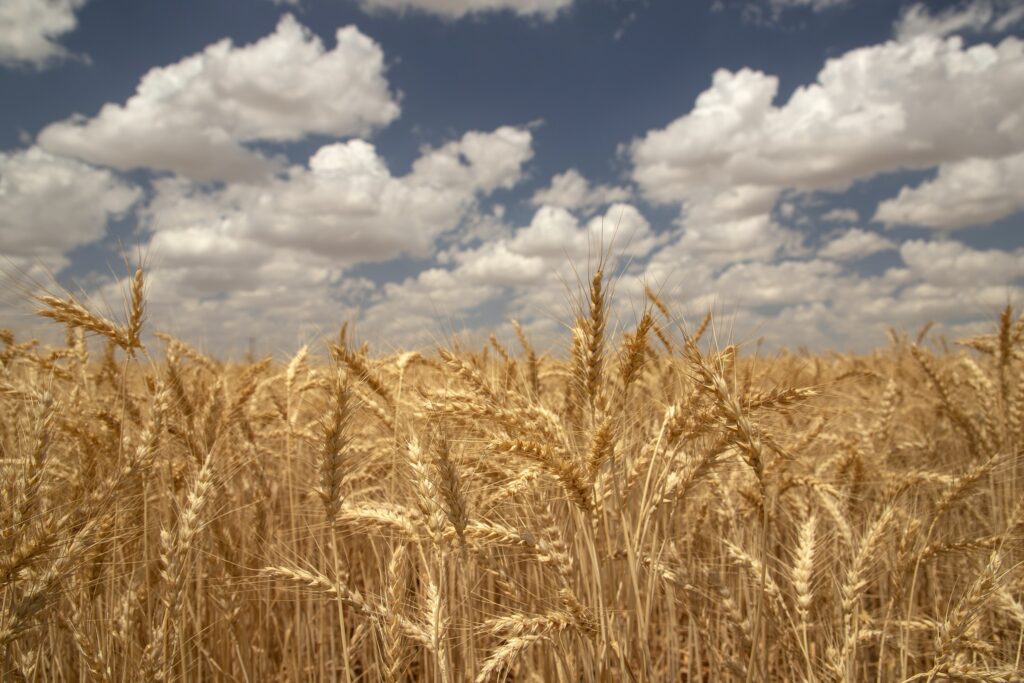 “Kuraklık tarımsal sulamadaki elektrik faturasını artırıyor”