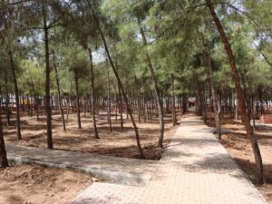 Akçakale mesire alanında çalışmalar sürüyor