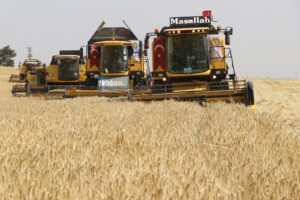 Şanlıurfa’da Hasat Kaybını Önlemek İçin Tarla Kontrolleri Yapılacak